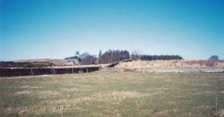 1 site in 2003