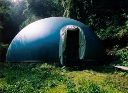 Earth's Ancestral Voices